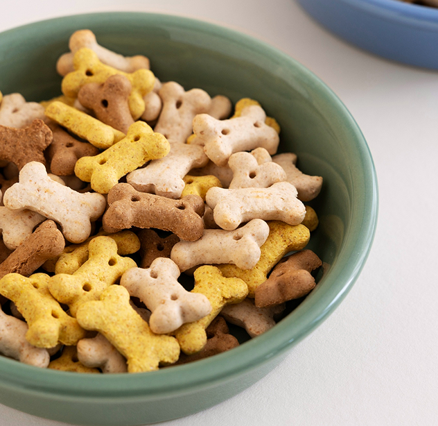 Cat Food