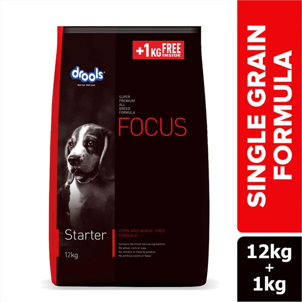 Focus Starter