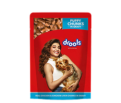 Drools Chicken and Egg Adult Dry Dog Food