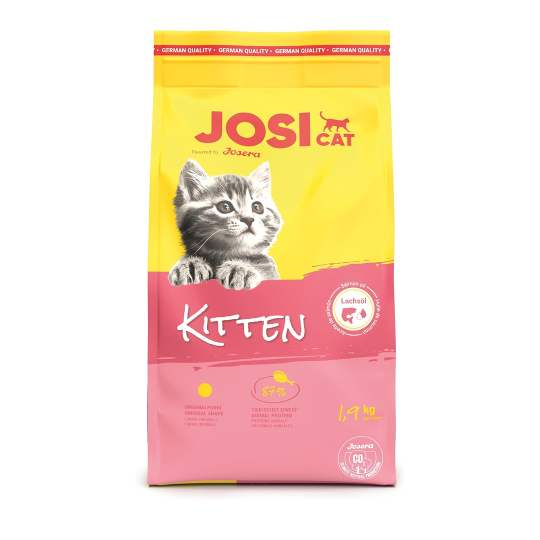 Kitten Cat Food